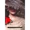 Historical Fiction for  Sentimental Chocoholics