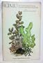 Limu-Ethnobotanical Study of Some Hawaiian Seaweeds