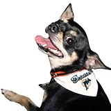 Pets First NFL Miami Dolphins Collar Bandana, Medium