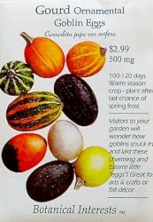 Ornamental Gourds Goblin Eggs Seeds 15 Seeds