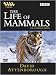 The Life of Mammals DVDs