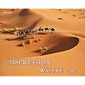 Impression W�ste 2012