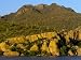 Bartlett Lake, Rock Formations and Saguaro Cacti Photographic Poster Print, 24x18