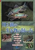 ��ƌ΂̐������̎������\�싛�E�W���Y�G�r�E���������E�U���K�j�ށE�J�j�ށE�O���Y���ѐ���