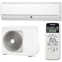 東芝 エアコン Dシリーズ おもに6畳用 RAS-2211D (W)ムーンホワイト 100V電源タイプ