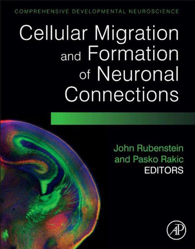 Cellular Migration and Formation of Neuronal Connections: Comprehensive Developmental Neuroscience: 2