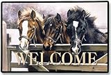OVER THE GATE DOORMAT Art by Caroline Cook