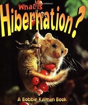 What is hibernation?