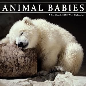 Animal 2012 Wall Calendar