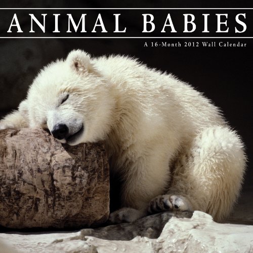 Animal Babies 2012 Wall Calendar