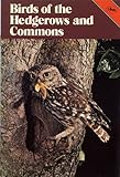 Birds of the hedgerows and commons