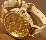 Coach Watches- Coach Miranda with Signature Dial Women's Watch