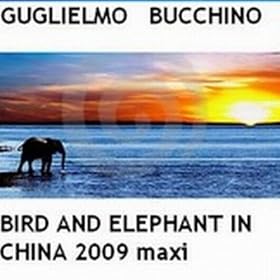 Bird and Elephant In China