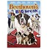 Beethoven's Big Break