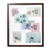 Umbra Loft Strata Multi-Opening Frame - Black