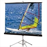 Draper Diplomat - Projection screen with tripod - 120 in ( 305 cm ) - 1:1 - High Contrast Grey - black