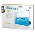 Formicarium Ameisenfarm