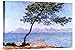 Global Gallery Budget Claude Monet Cap D