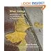 Silver Linings: Meditations on Finding Joy and Beauty in Unexpected Places