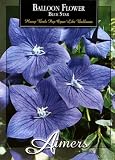 Aimers 3173 Balloon Flower Blue Star Seed Packet
