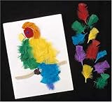 Review Anthony Peters  / Coloured Craft Feathers Pack