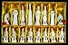 EXP Handmade White & Painted Chinese Qin Dynasty Bone Chess Set