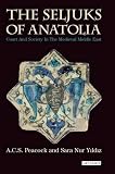 The Seljuks of Anatolia : court and society in the medieval Middle East
