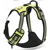 Chai's Choice Pet Products Best Front Range No-Pull Dog Harness, Small, Green