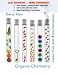 Student Study Guide And Solutions Manual T/a Organic Chemistry, 1st...