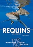 Requins - les Rois des Mers