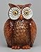 6 Inch Owl Bird Savings Piggy/Coin/Money Bank, Brown and White
