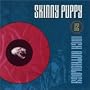 12" Anthology