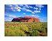 Ayers Rock, Australia poster print,23.4 in. x 18.3 in.