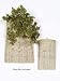 4 BEIGE CYLINDRICAL WOODEN WALL HANGING POCKET BASKETS