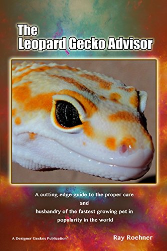 The Leopard Gecko Advisor