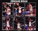 Chicago Bulls (Scottie Pippen, Michael Jordan, John Paxson, Horace Grant, B.J. Armstrong, Bill Cartwright) Sports Poster Print - 16" X 20"