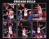 Chicago Bulls (Scottie Pippen, Michael Jordan, John Paxson, Horace Grant, B.J. Armstrong, Bill Cartwright) Sports Poster Print - 16