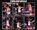Chicago Bulls (Scottie Pippen, Michael Jordan, John Paxson, Horace Grant, B.J. Armstrong, Bill Cartwright) Sports Poster Print - 16 X 20