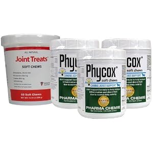 51uz9921T%2BL. SL500 AA300  3 PACK PhyCox JS Soft Chews (360 Soft Chews) + FREE JOINT TREATS! 