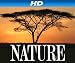 Jungle Eagle [HD]