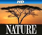 play video on Amazon Instant Video