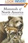 Mammals of North America (Princeton Field Guides)