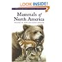 Mammals of North America (Princeton Field Guides)
