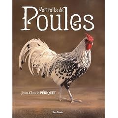 Portraits de poules