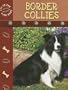 Border Collies (Eye to Eye with Dogs)