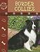 Border Collie (Eye to Eye With Dogs)