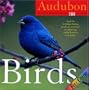 Audubon Birds Page-A-Day Calendar 2008