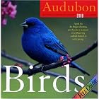 Audubon Birds Page-A-Day Calendar 2008 by  Fred Baumgarten