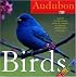 Audubon Birds Page-A-Day Calendar 2008