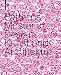 Patterns. Muster in Design, Kunst und Architektur